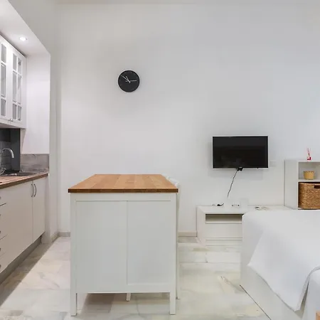 Apartment Malagaflat Design Loft Center *