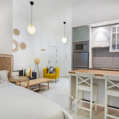 Malagaflat Design Loft Center Malaga